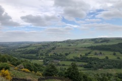 IMG_3477