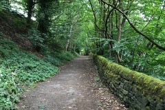 IMG_3667