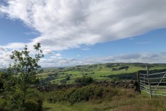 IMG_3729