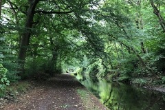 IMG_3811