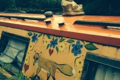 buddhafoxboat