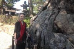 injapan2019