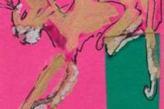 insidebackjacketflap