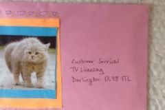 senttotvlicensepple