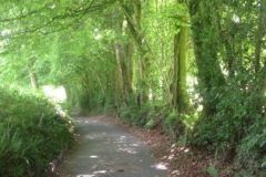 walesrdwalkies