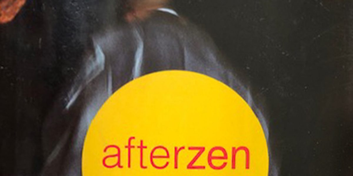 Afterzen: Experiences of a Zen Student Out on His Ear